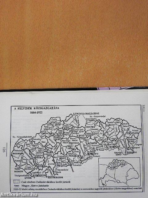 A (cseh)szlovákiai magyar művelődés története 1918-1998 I.