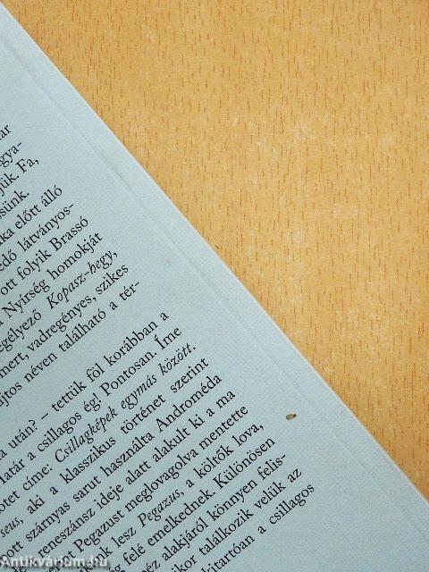 Vizek egymás között