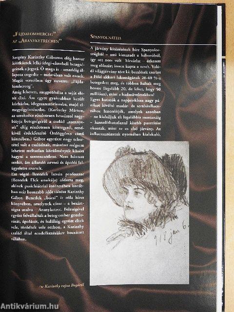 Irodalmi "hölgyvilág"