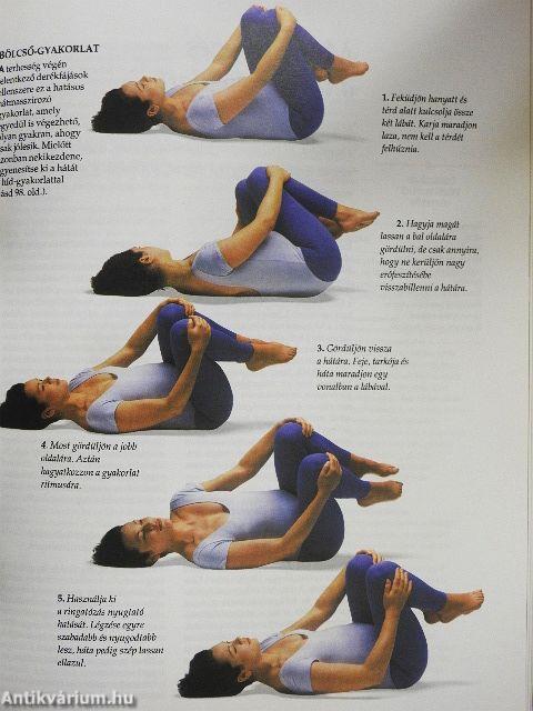 Szülők Larousse enciklopédiája