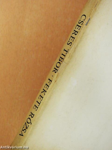 Fekete rózsa (dedikált példány)