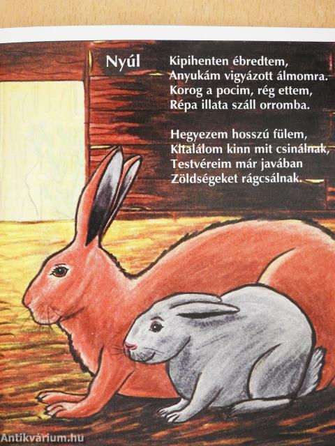 Kedvenceid verseskönyve 3. (dedikált példány)