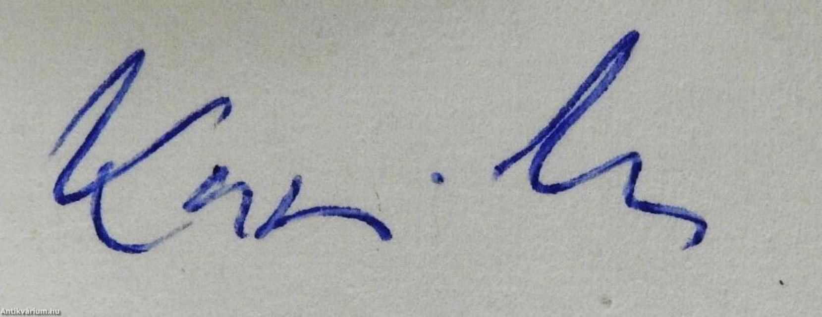 A berchtesgadeni sasfészektől a berlini bunkerig (dedikált példány)