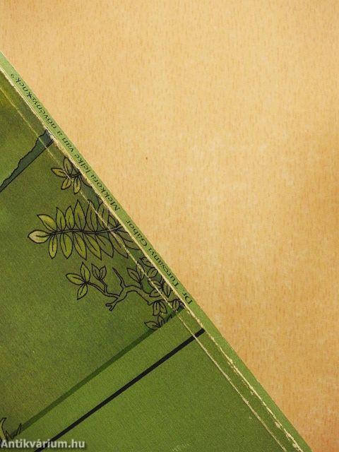 Mekkora lelke van a növényeknek?