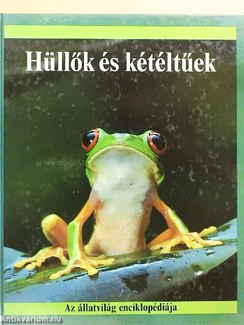 Hüllők és kétéltűek