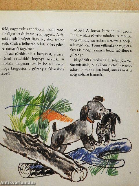 Ali csacsi és a többiek