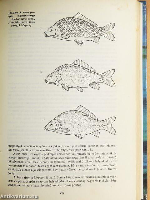 Horgászok kézikönyve