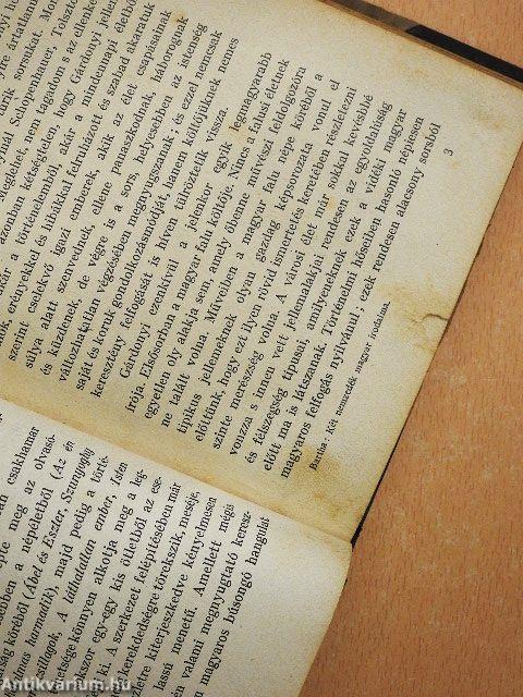 Két nemzedék magyar irodalma