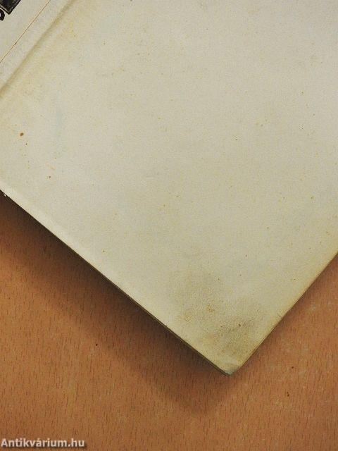 Emberek a kövek között