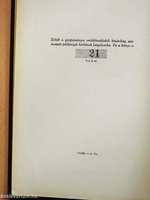 Emberek a kövek között