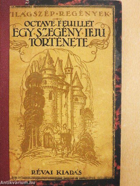 Egy szegény ifju története