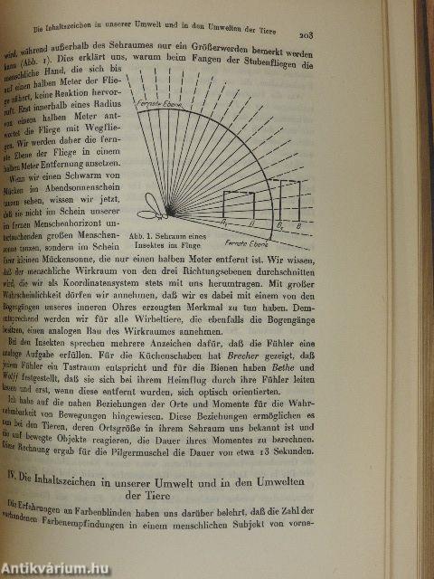 Das Lebensproblem im Lichte der modernen Forschung