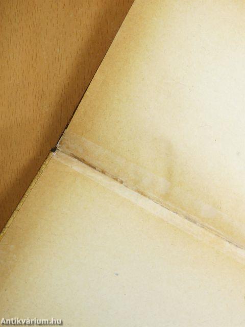 Utazás Faremidóba/Capillária