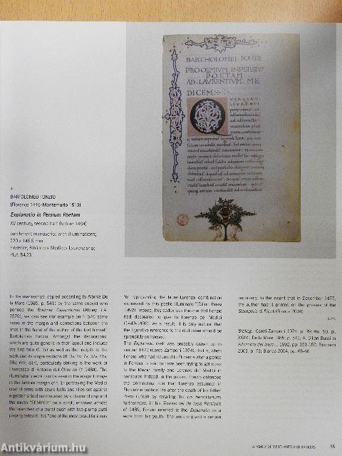 The Splendour of the Medici