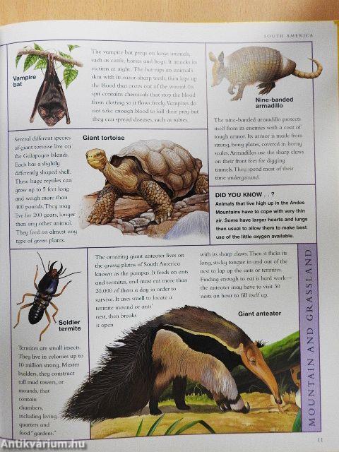 The Animal Atlas