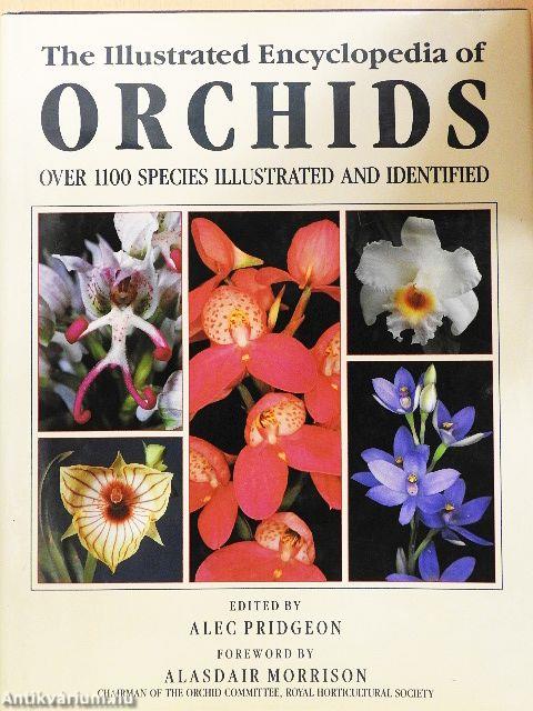 The Illustrated Encyclopedia of Orchids