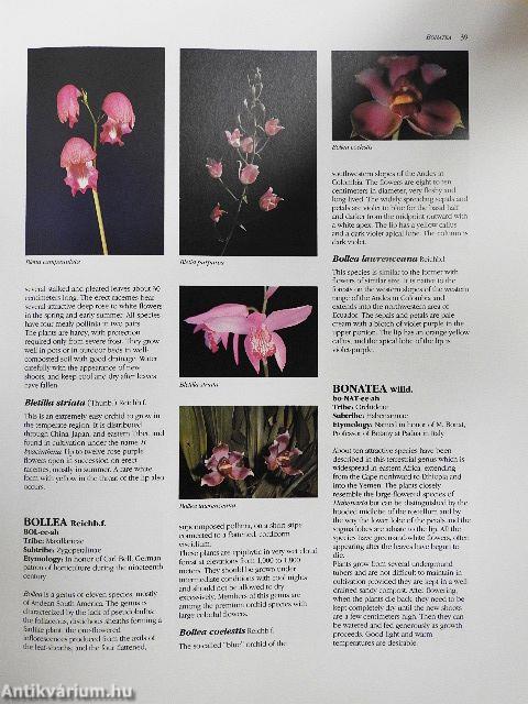 The Illustrated Encyclopedia of Orchids