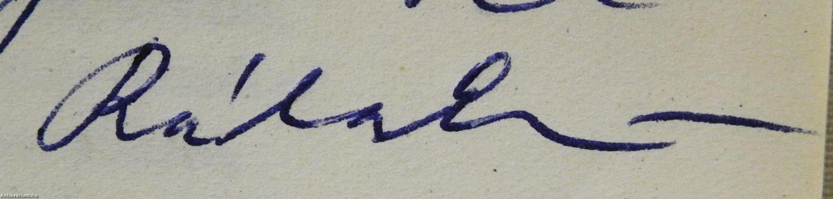 Magános élet (dedikált példány)