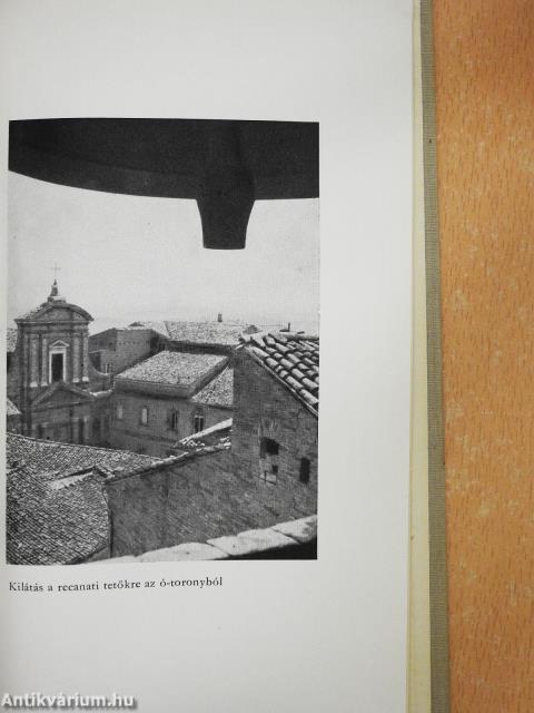 Magános élet (dedikált példány)