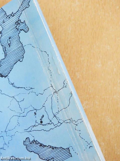 Kettétört toll (aláírt példány)