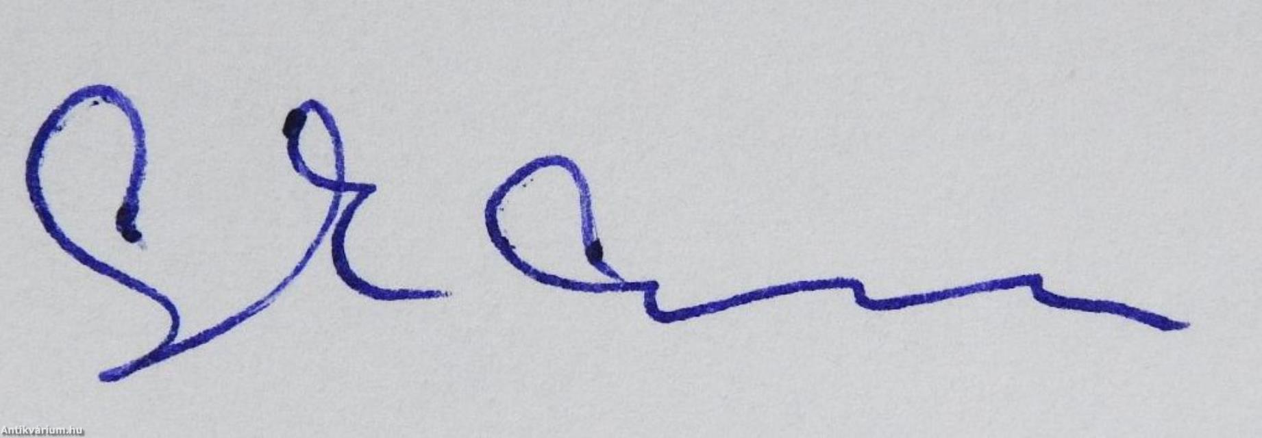 Lelki evolúció VIII. (dedikált példány)