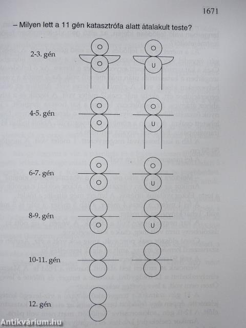 Lelki evolúció VII. (dedikált példány)