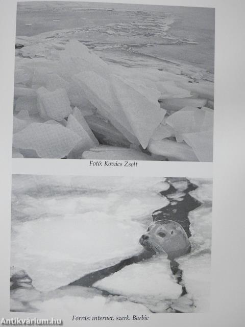 Isten könnycseppje Balaton (dedikált példány)