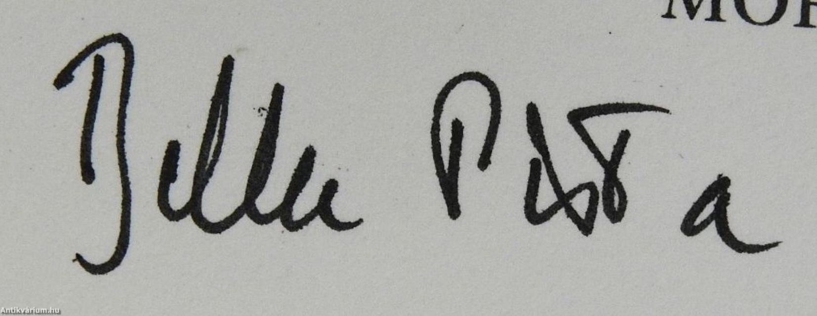 Áni Máni naptára (dedikált példány)