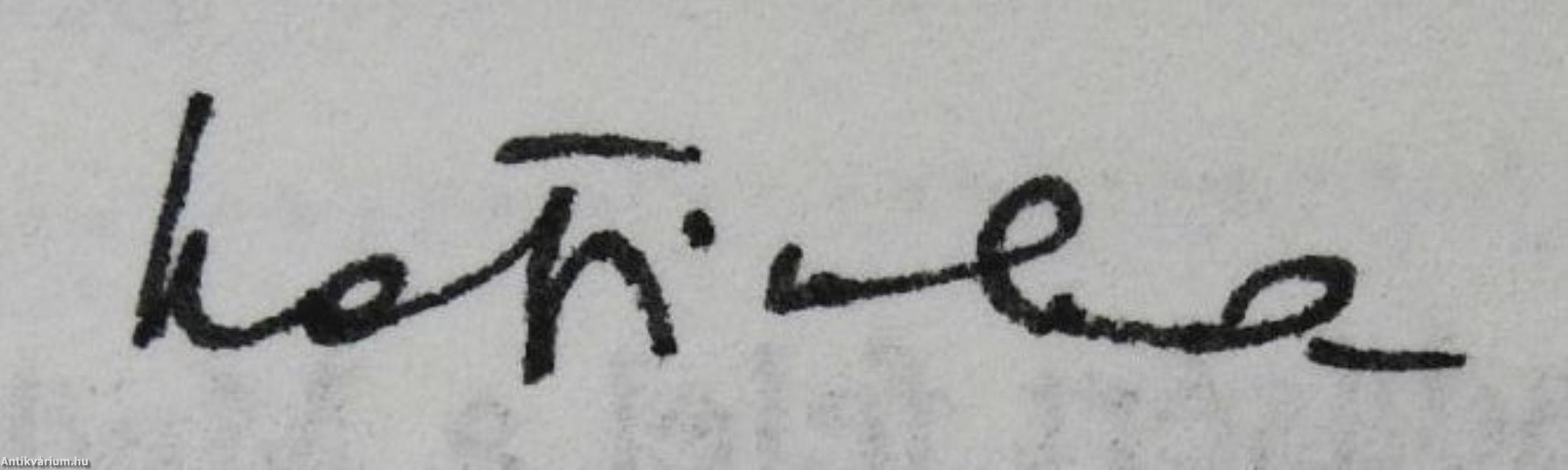 Légzészavarok alvás alatt (dedikált példány)