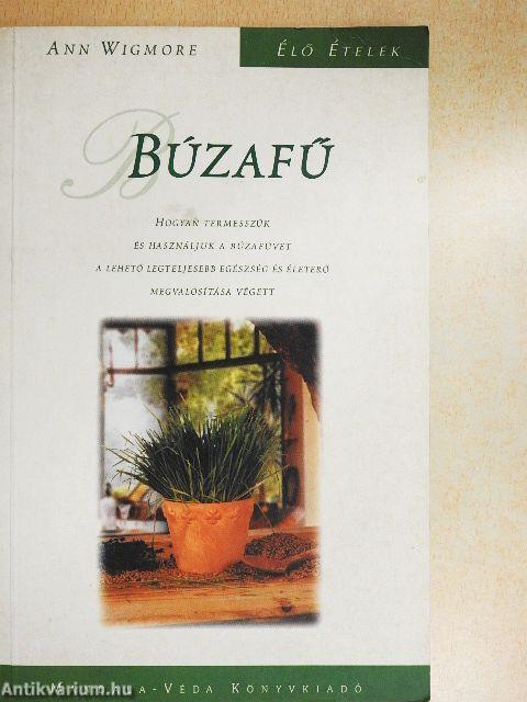 Búzafű