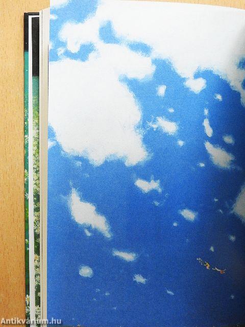 Azok a dolgok, amiket csak akkor látsz, ha lelassítasz