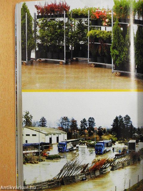 Prenor Kertészeti és Parképítő Kft. díszfaiskolai árjegyzék 2006. ősz-2007. tavasz