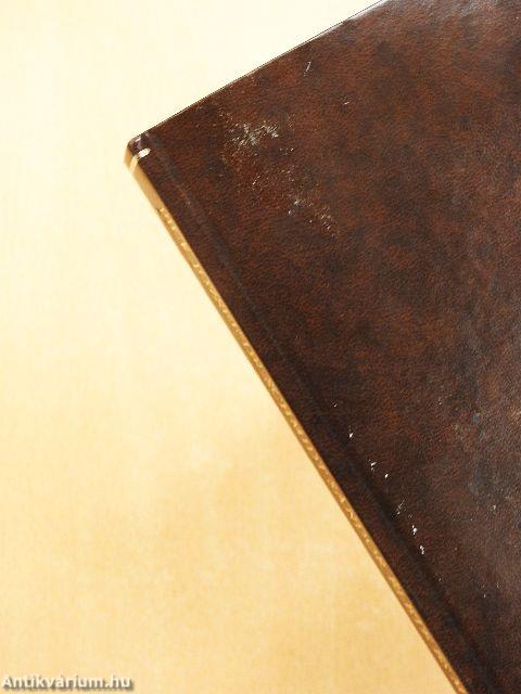 Dr. Schmidt Sándor élete és munkássága