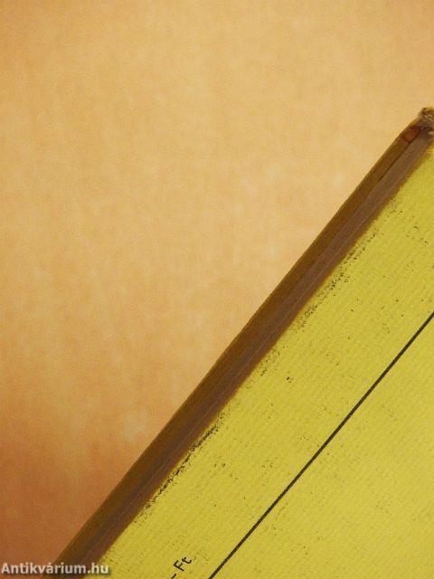 Egy politikai per kulisszatitkai