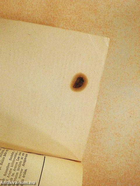 A köpönyeg/A revizor