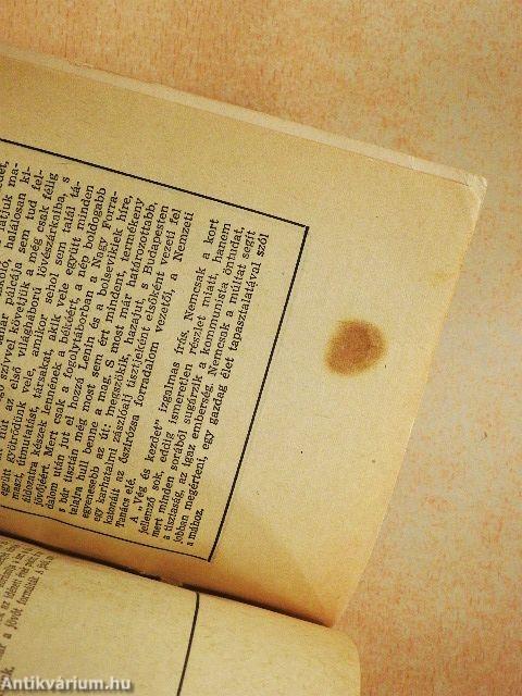 A köpönyeg/A revizor