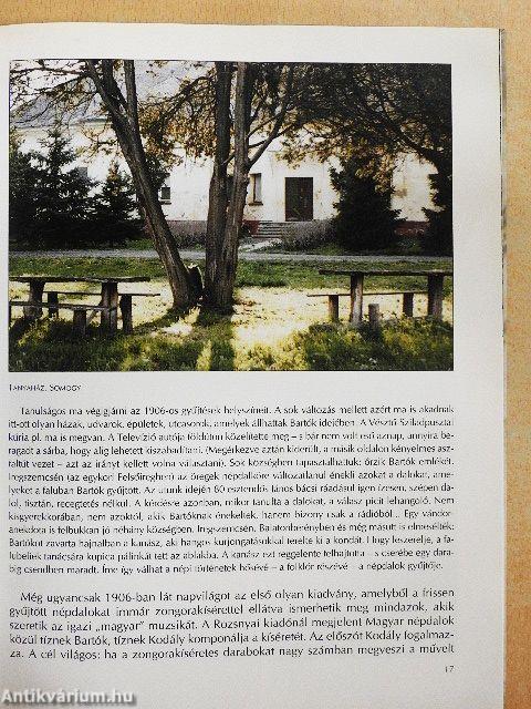 Bartók Béla útján