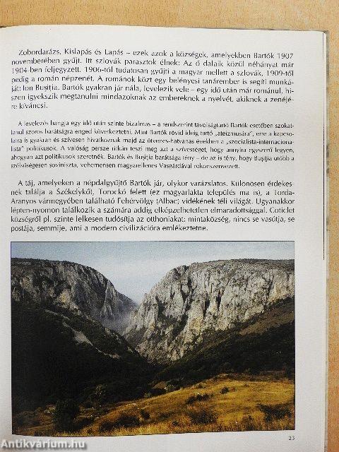 Bartók Béla útján