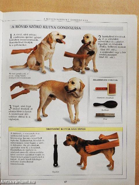 A kutyatartás nagy kézikönyve