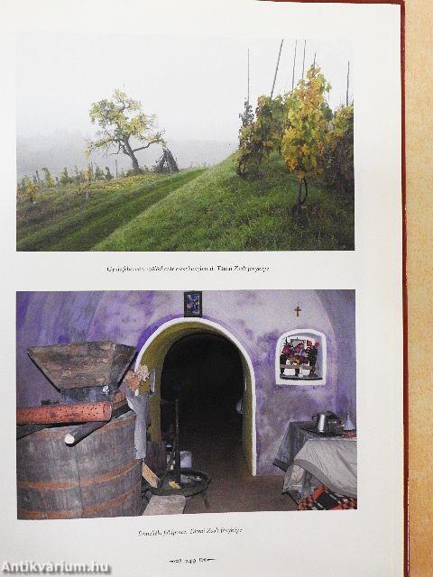 Késő reneszánsz, kora újkori kertek és borok Erdélyben