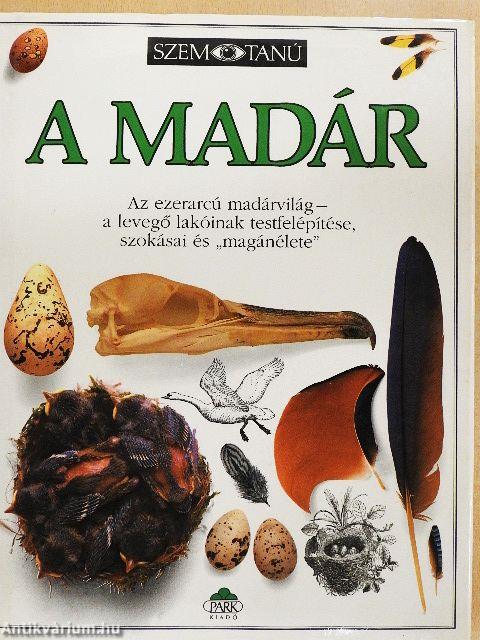 A madár