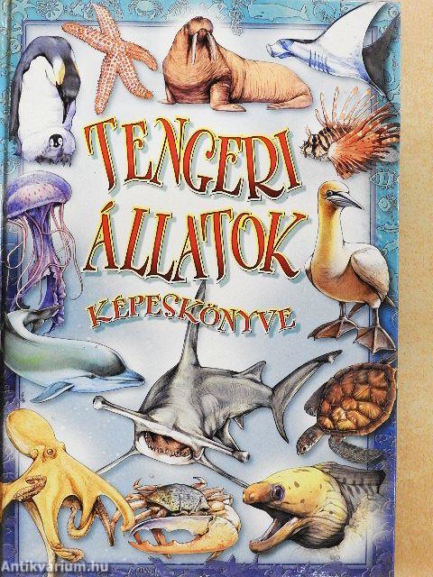 Tengeri állatok képeskönyve