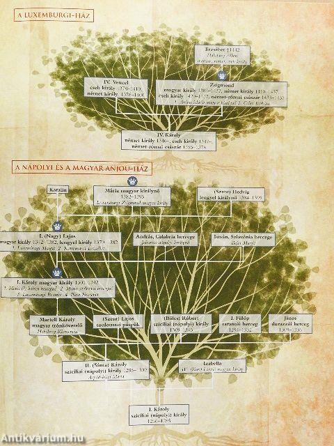 Magyar királyok nagykönyve
