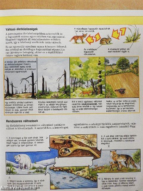 Az élővilág kisenciklopédiája