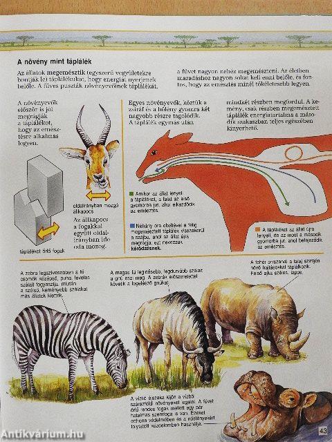 Az élővilág kisenciklopédiája