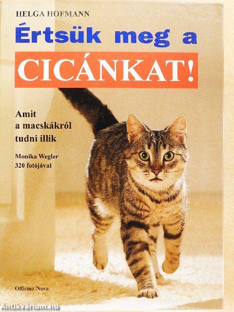 Értsük meg a cicánkat!