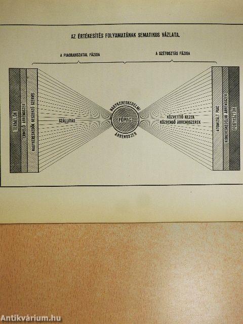 A közigazgatás hivatása a városi lakosság élelmiszerellátása terén
