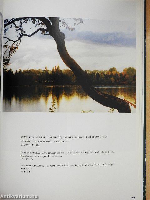 Szombathely zöld szíve