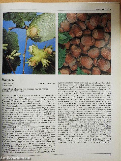 Haszonnövények ábécéje