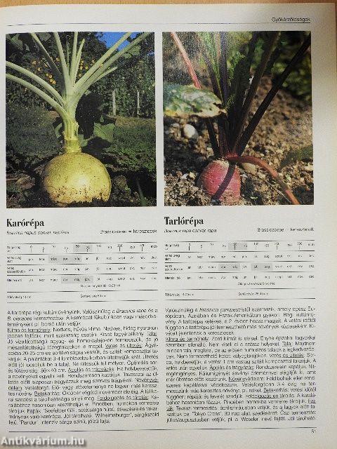 Haszonnövények ábécéje